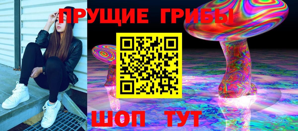 Галлюциногенные грибы MAGIC MUSHROOMS Сланцы